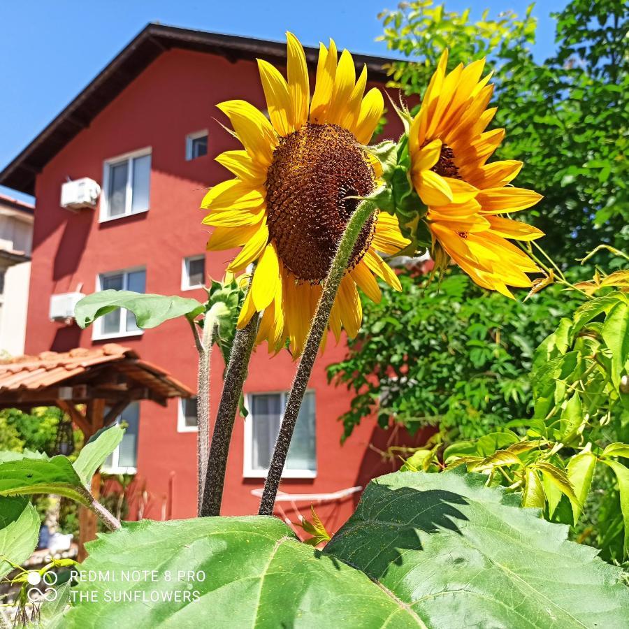Guest House Sunflowers Pomorie Extérieur photo